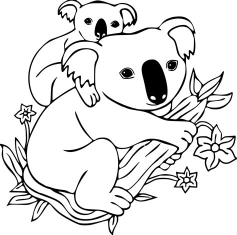 Coloriage Koala Et Dessin à Imprimer