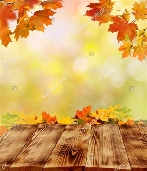 Fall Backgrounds 31 Free Psd Ai Vector Eps Format Download Free