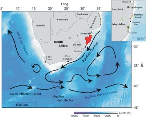 Give the causes of ocean currents. Schematic diagram of major surface currents around southern Africa... | Download Scientific Diagram