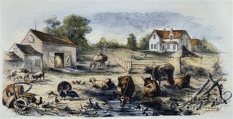 Farm Yard 1870 Photograph By Granger