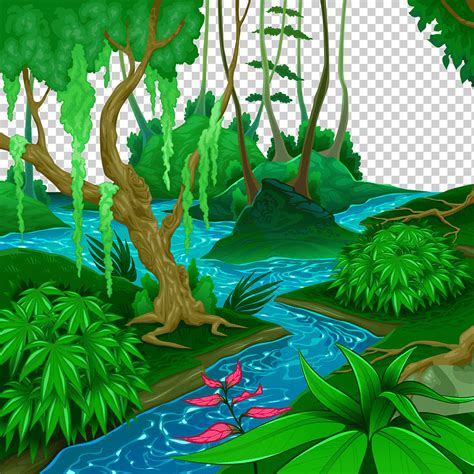 Ilustración De Plantas Y árboles De Hojas Verdes Bosques Húmedos