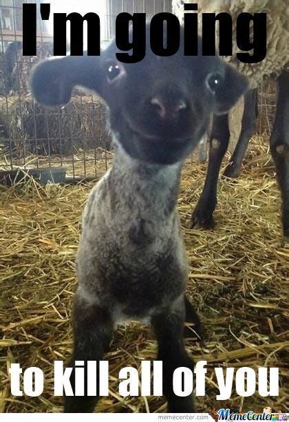 Cute Baby Gpat Memes Pics Photos Baby Goat Funny