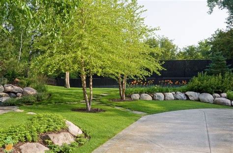 River Birch Tree Shade Landscaping River Birch Trees Traditional