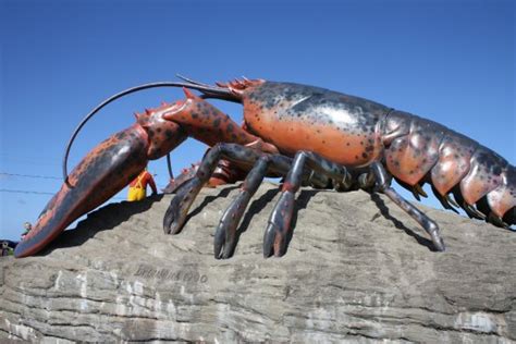Largest Lobster In The World