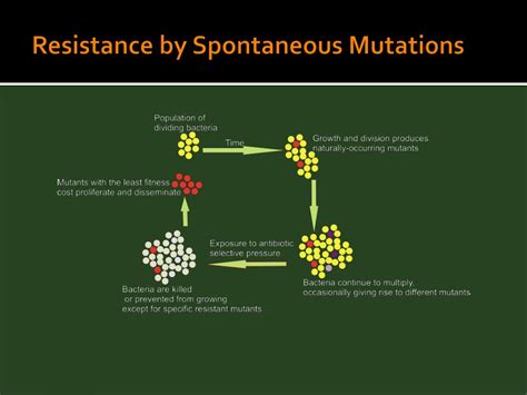 PPT Mechanisms Of Antibiotic Resistance PowerPoint Presentation Free Download ID