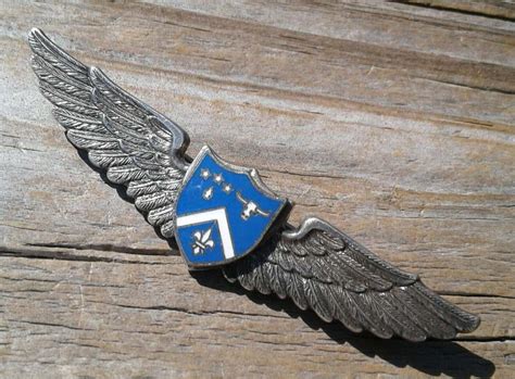 Glider Wings Danecraft Cpt With Enamel G Wing Badges Us