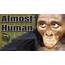 Archaic Humans  Pre Human Ancestors DinoCreekcom Amazing Videos