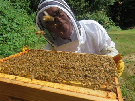 The Perfectbee Beekeeping Course Content Perfectbee
