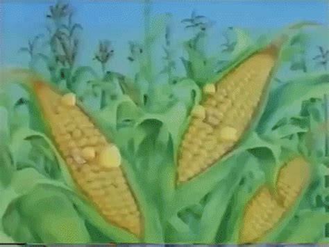 Corn Flakes Cereal Gif Find Share On Giphy