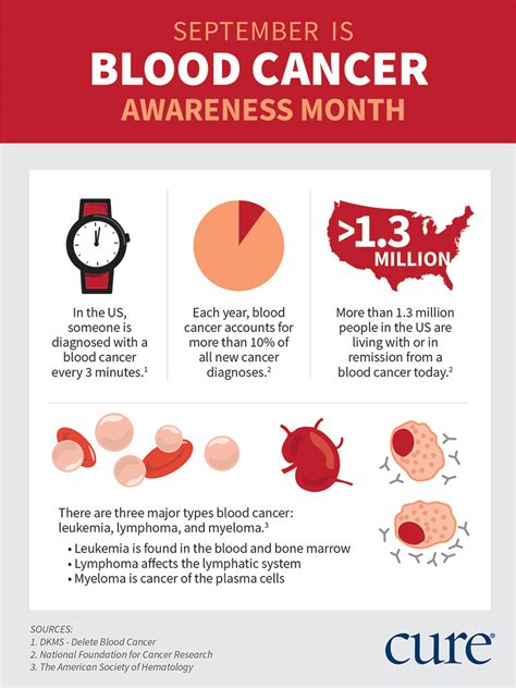 Blood Cancer Awareness Month Facts You Need To Know About Blood My