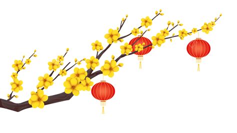 베트남 새 해 살구 꽃 등불 배경 새해 연하 꽃 Png 일러스트 및 Psd 이미지 무료 다운로드 Pngtree