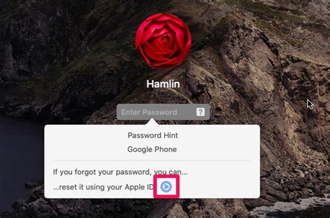 How To Reset Macos Password In Macos Big Sur Catalina Mojave