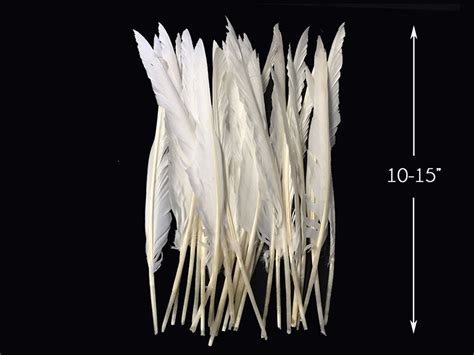 14 Lb Bulk White Goose Satinette Feathers Moonlight Feather