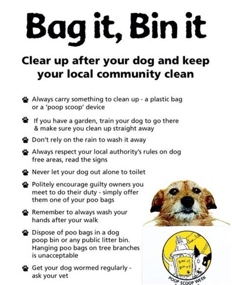 How To Tell Tenant To Clean Up Dog Poop Enforcing Cleanup Healing Picks