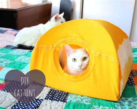 20 Diy Cat Bed Ideas To Give Your Cat A Comfy Sleep