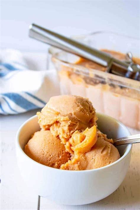 Apricot Sorbet Beyond The Chicken Coop