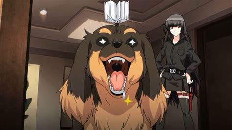 Top 26 Best Anime Dogs 2023