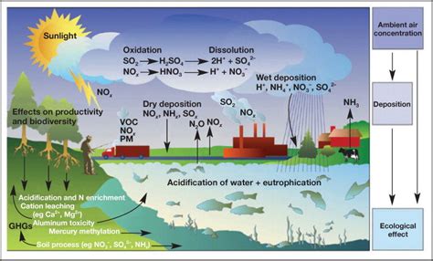 See more of air and water pollution in malaysia on facebook. Simplified diagram of the ecological effects caused by ...