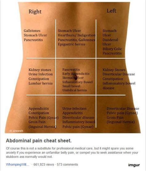 Use This Belly Map To Discover Why Your Stomach Hurts Useful Tips For