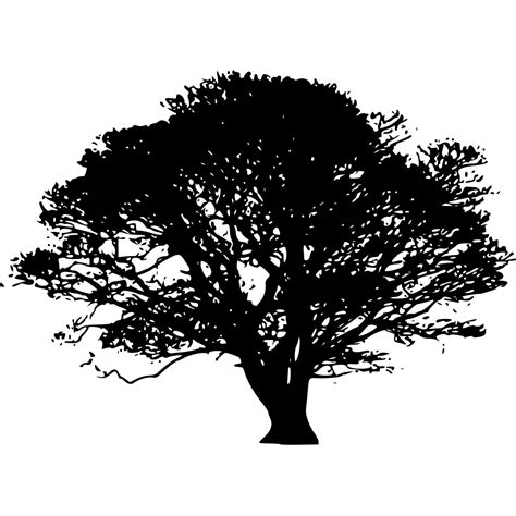 Free Oak Tree Template Download In Illustrator Photoshop Eps Svg