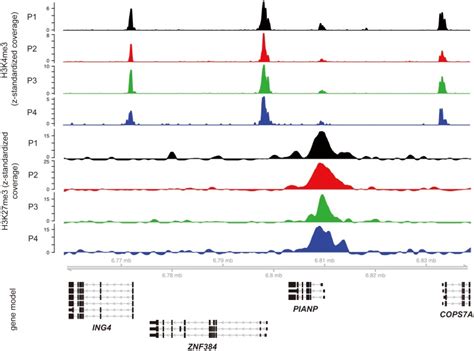 A problem of particular interest is the identification of regions of the genome where different cell types from the same organism exhibit different patterns of histone enrichment. Depicted are the z-standardized ChIP-seq coverage profiles ...