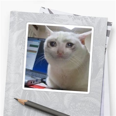 Crying Cat Meme Sticker By Carou Redbubble