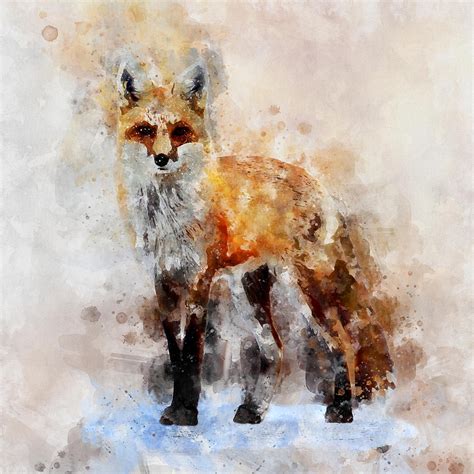 Red Fox Watercolor Portrait 02 Painting By Stockphotosart Com