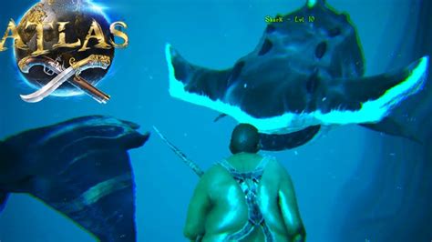 Atlas Hunting Giant Hammer Head Shark Alpha Creatures Atlas