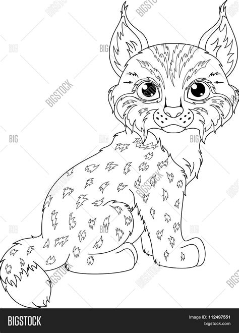 lynx coloring pages learny kids