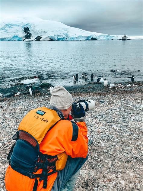 Antarctica Travel How To Visit Which Cruise And Everything You Need To