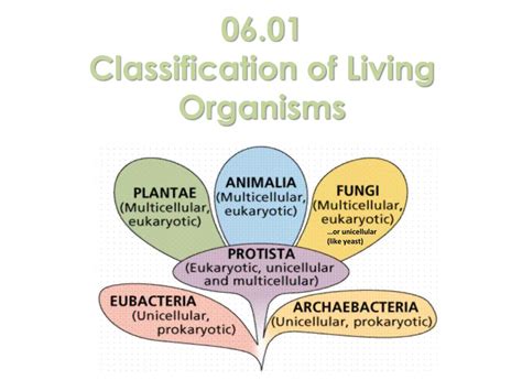 Ppt 0601 Classification Of Living Organisms Powerpoint Presentation
