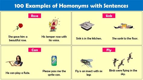 Give 50 Examples Of Homonyms With Sentences Engdic