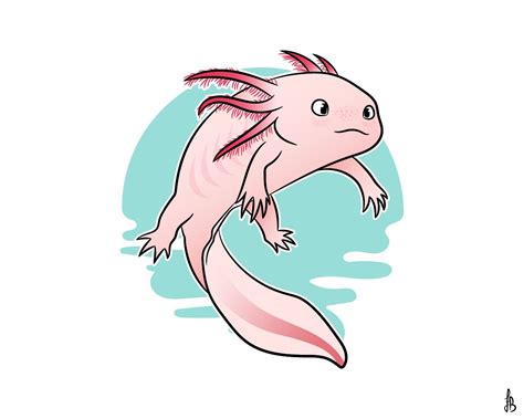 Easy drawing tutorials for beginners, learn how to draw animals, cartoons, people and comics. Axolotl Draw by - Vetor_Book in 2020 | Cute drawings ...