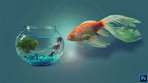 Fish And Fish Bowl Photoshop Digital Wallpaper Digital Art Artwork