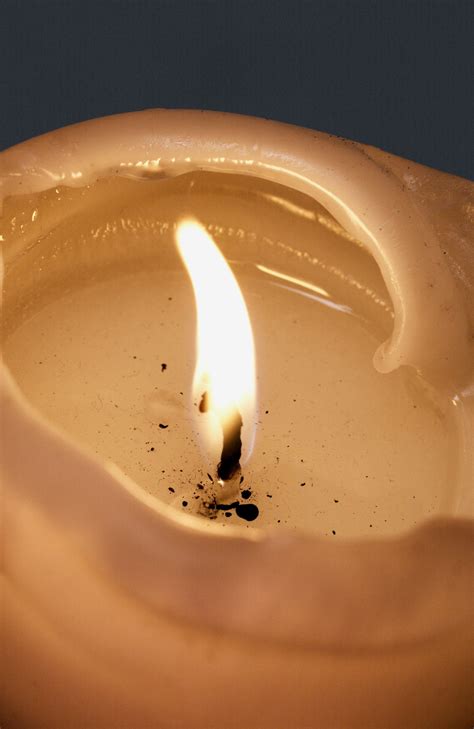 The Luminous Legacy Project – Susan Shafer