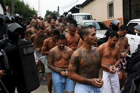 Ms 13 Prison Gang Profile And Structure
