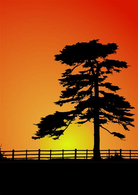 Sunset clipart sunset landscape, Sunset sunset landscape Transparent FREE for download on 