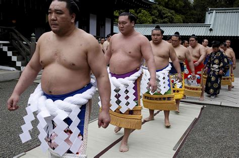 Le Sumo Lautre Tradition Du Printemps Japonais