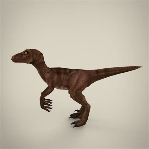 Raptor 3d Model