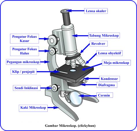 Clickyhun Complete Education