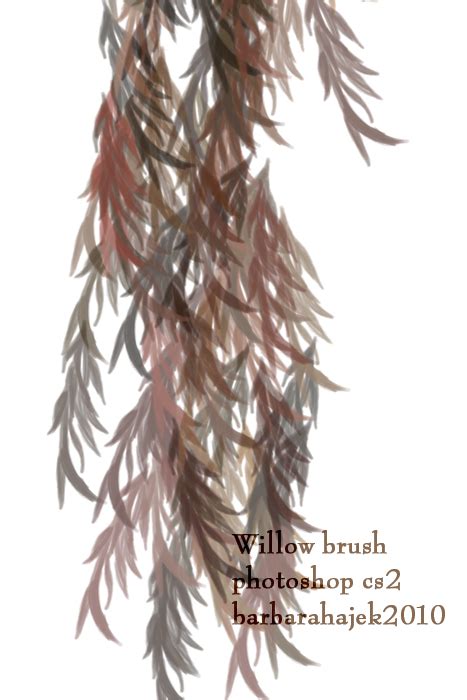 Abstract tree and cloud sticker background pack. Willow | Photoshop Free Brushes | 123Freebrushes