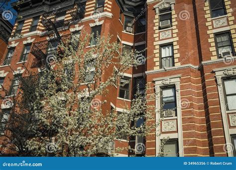 Classic Old Apartment Building New York City Stock Photo Image Of
