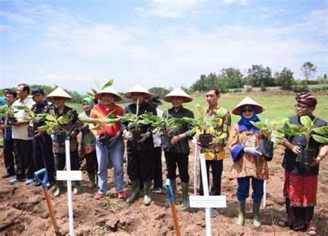 Pemerintah Dorong Pengembangan Kawasan Hortikultura Untuk Tingkatkan