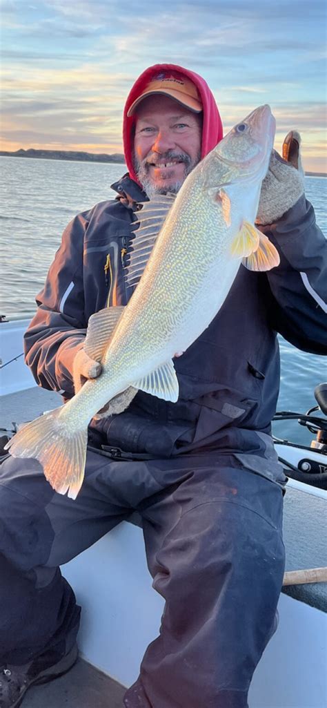 Fort Peck Walleye Montana Hunting And Fishing Information