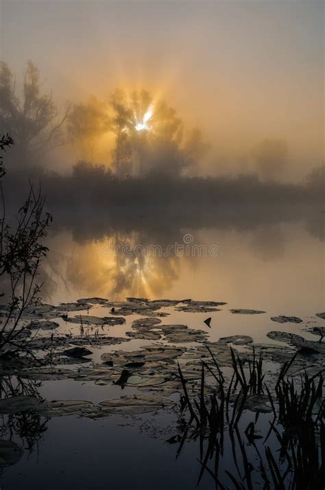 Amazingly Beautiful Sunrise Over Lake Foggy Stock Photo Image Of