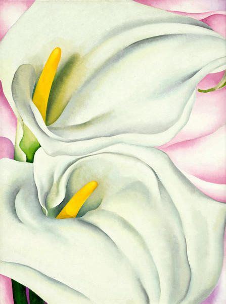 Two Calla Lilies On Pink By Georgia O Keeffe Paper And Canvas