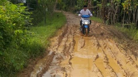 Jalan Becek Dan Terendam Saat Musim Penghujan Warga Desa Pandawan Lakukan Ini Banjarmasinpost