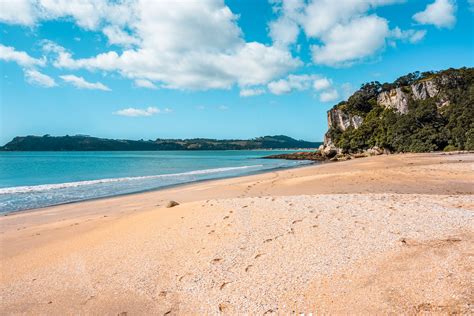 Top Things To Do In The Coromandel Region New Zealand Plantiful Travels