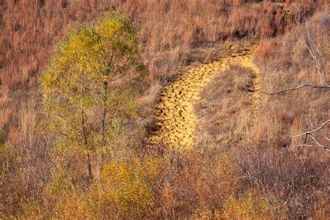 Maybe you would like to learn more about one of these? Kanopolis State Park Eagle Point Campground Map - Kansas ...
