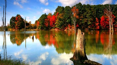 Green Red Orange Autumn Fall Trees In White Clouds Blue Sky Reflection